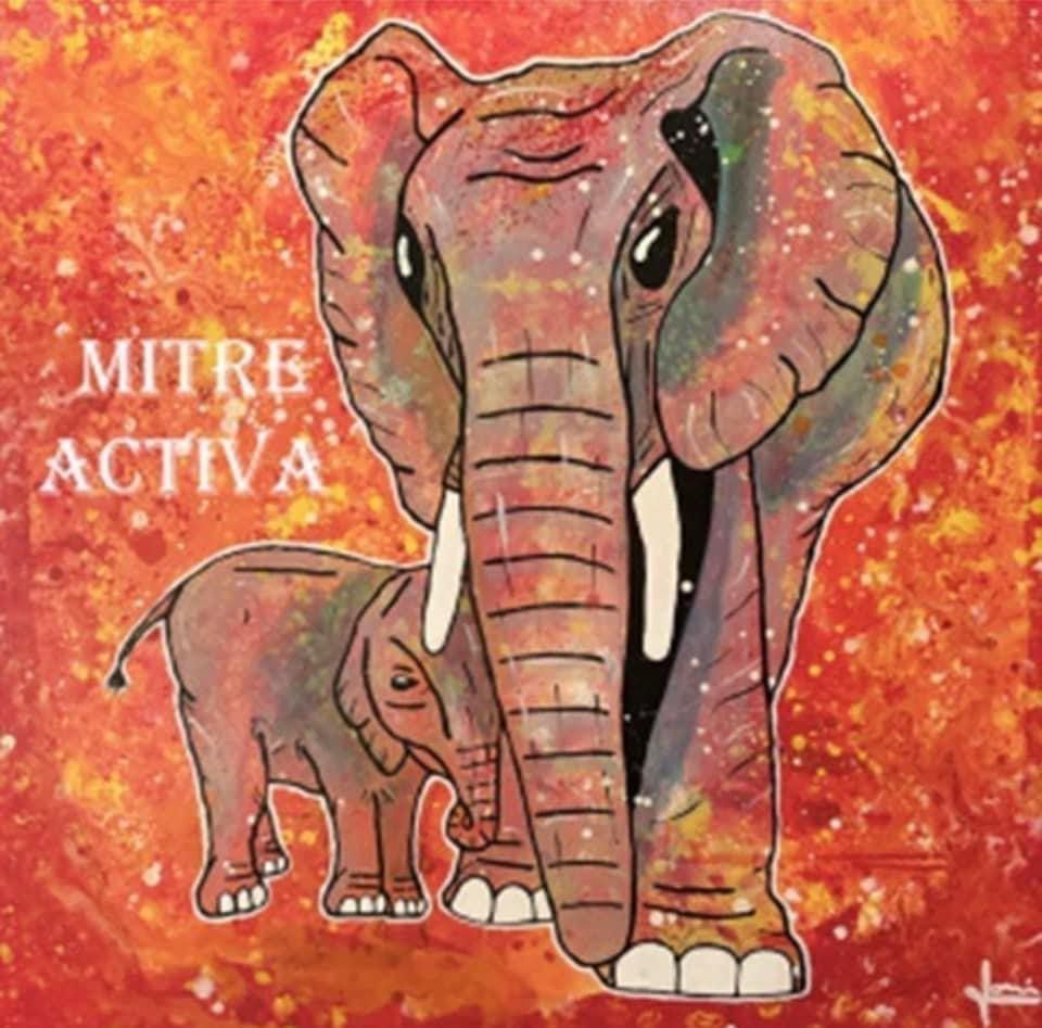 Logo Elefantes rojos mitre activa